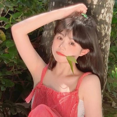 星之翼最新版本下载